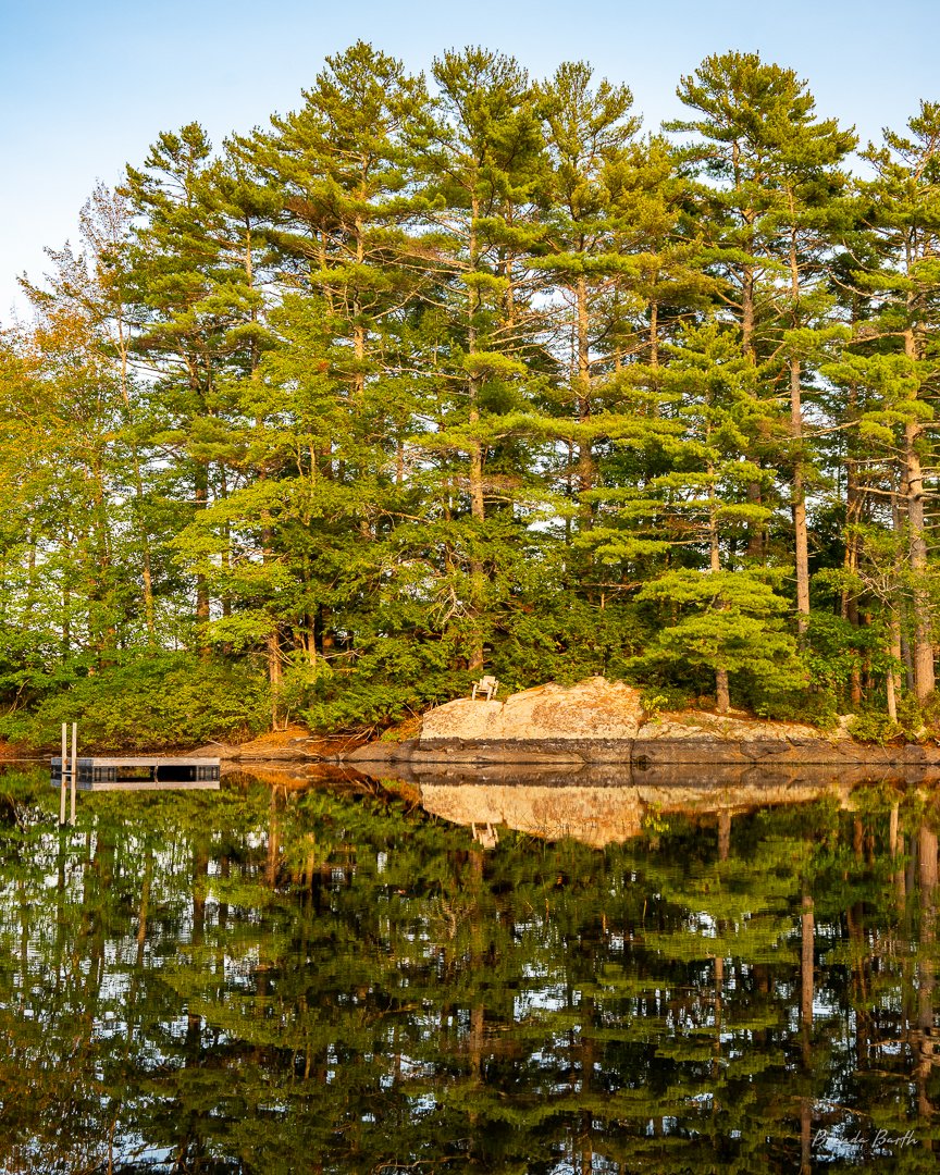 BrendaWBarth's tweet photo. Reflections on the pond. 
#maine #outsideismybestside #nikon  #nikonusa #nikonz6ii #nikonphotography #nikonphoto #nikonoutdoors #earth #water #landscape #travelphotography #nature #naturephotography https://t.co/YPedSCnec0