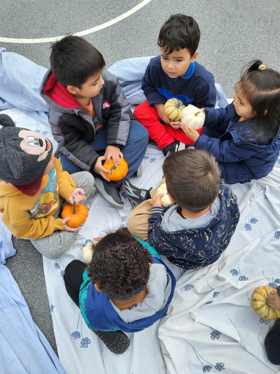 Farm to School Frederick (@f2sfrederick) on Twitter photo Sensory enrichment learning focused on #PumpkinExploration <a href="/ButterflyRidge1/">Butterfly Ridge Elementary School</a> with #PreKStudents. Hands on learning fosters socializing among young learners. Love that these students sat together talking about their pumpkins! #F2SFrederick #F2SMonth Sensory enrichment learning focused on #PumpkinExploration <a href="/ButterflyRidge1/">Butterfly Ridge Elementary School</a> with #PreKStudents. Hands on learning fosters socializing among young learners. Love that these students sat together talking about their pumpkins! #F2SFrederick #F2SMonth