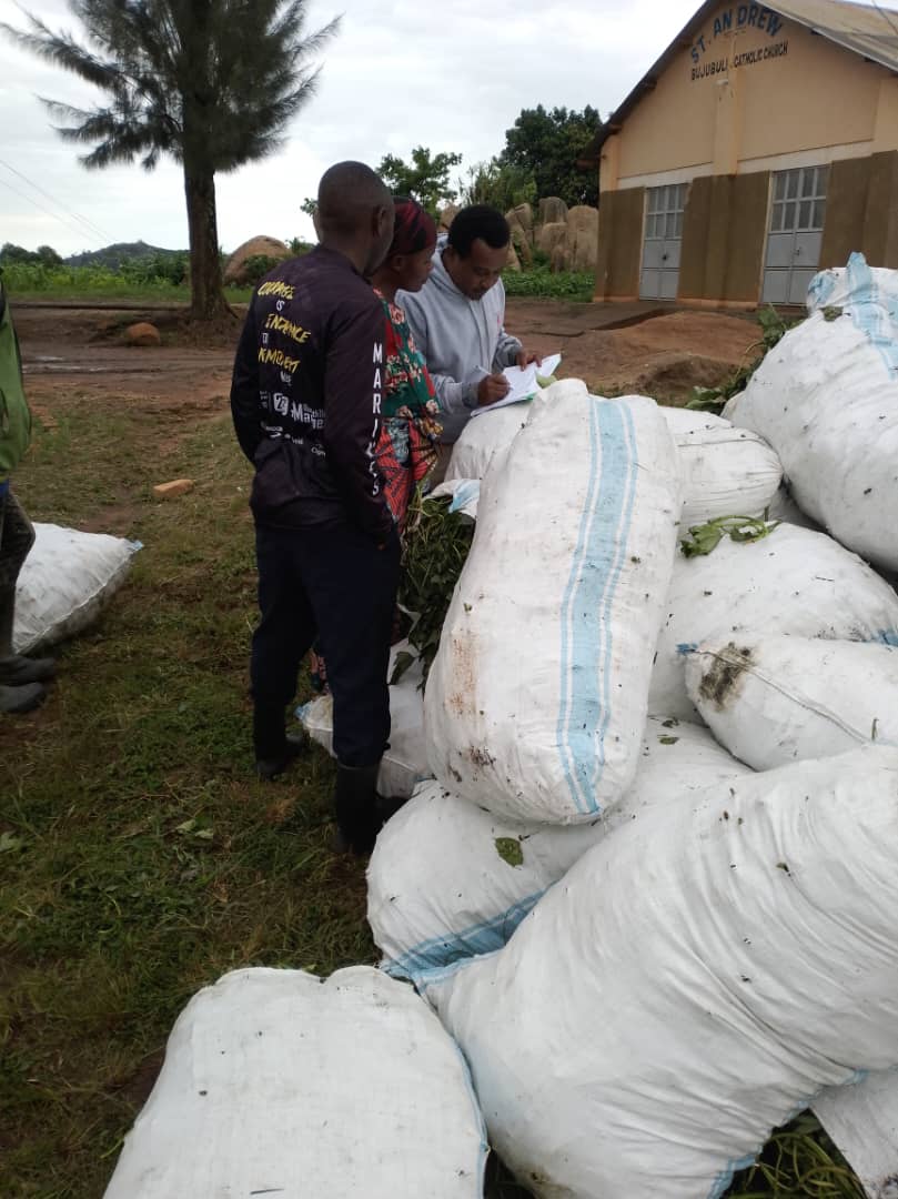 RWEBITABA ZARDI tweet media