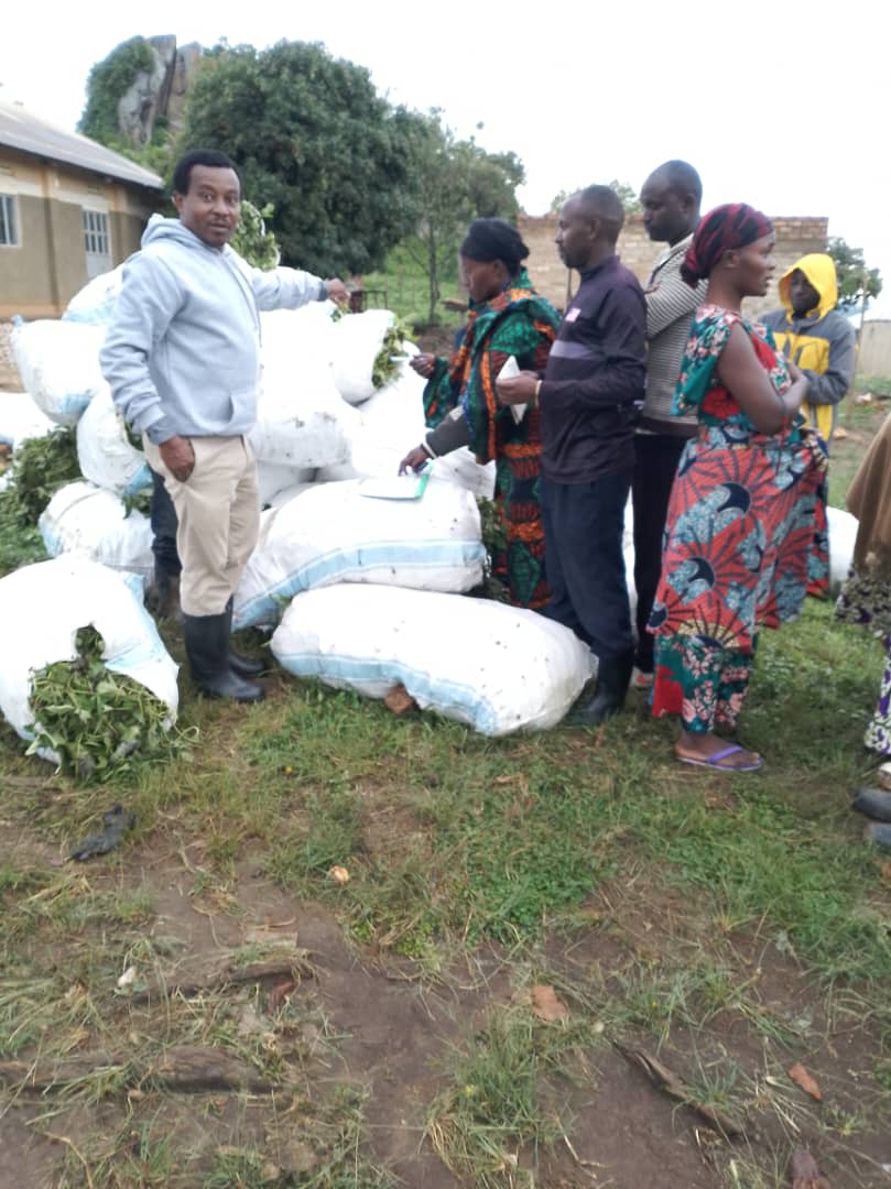 RWEBITABA ZARDI tweet media