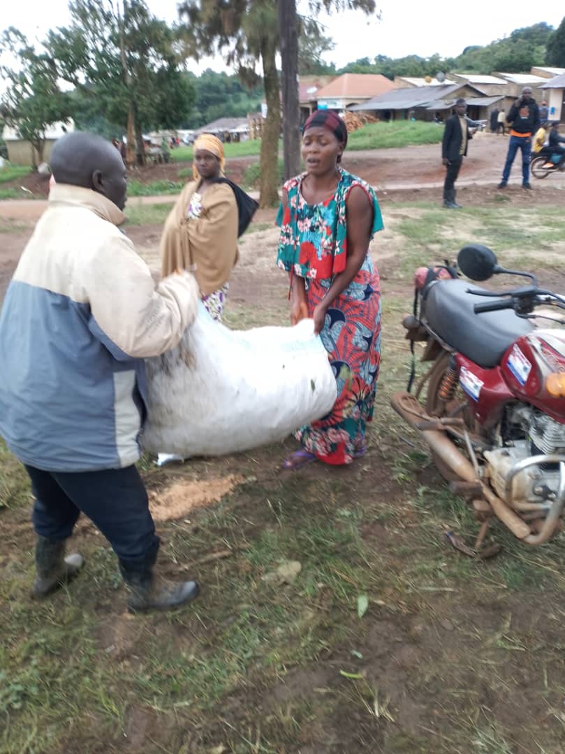 RWEBITABA ZARDI tweet media