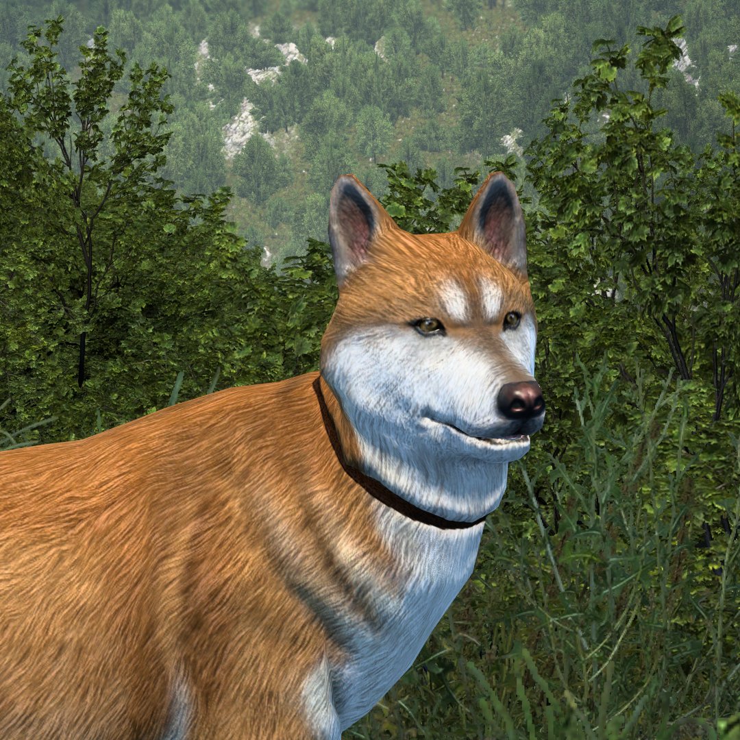 SCS Software tweet media