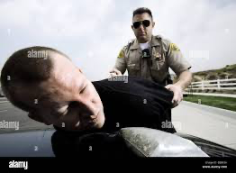 ok pal get in the car