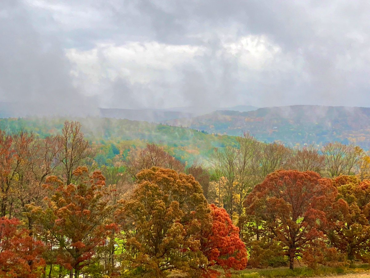 I’m trying to write and my writing nook is perfection itself but also LOOK WHAT’S HAPPENING OUTSIDE?