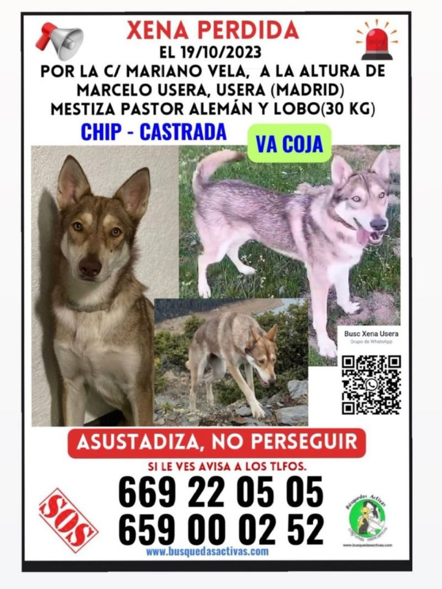 SosAbuelos1's tweet photo. #PERDIDAAAAAA
Atención #Madrileñ@s!!
Nos piden ayuda para encontrar a #Xena.
Estad un poquito atentos por si la veis o tenéis alguna info sobre ella...
La familia lo está pasando muy mal 😔
Se agradece difusión! https://t.co/f7NqY3Mmsv