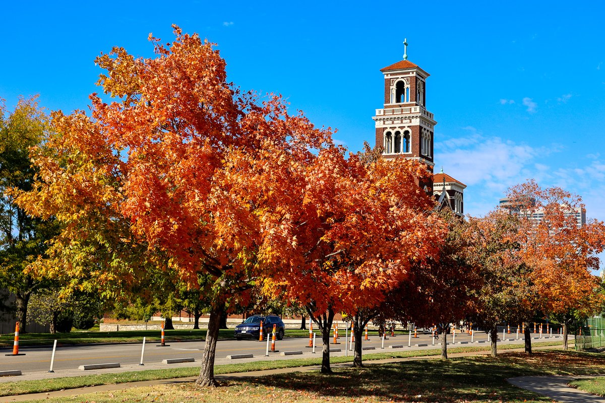 KansasCity's tweet photo. 🌳 Join Canopy Cover KC's mission to plant 10K trees in 3 years! Reserve your free tree for spring pickup now at https://t.co/yTi2NYaCDW. Let's make KC even more beautiful together! 🍂 https://t.co/vbY0iSyjE4