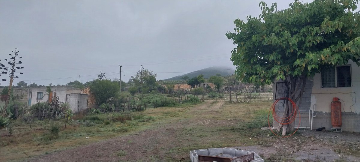 jpako09's tweet photo. Ranchito querido,,Puerto Bajo..cercas de la Chona N.L. https://t.co/sCkzTyHGtq