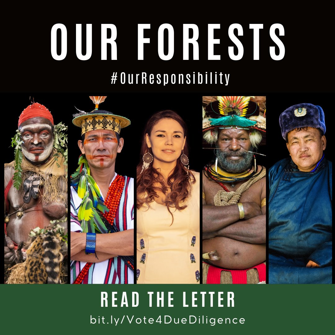 rootstojustice's tweet photo. #OpenLetter

#Indigenous and tribal peoples from around the world, supported by 50+ NGOs, are urging the #EU to uphold their internationally recognised rights in its directive on corporate #DueDiligence. https://t.co/fSPR2Ks48i