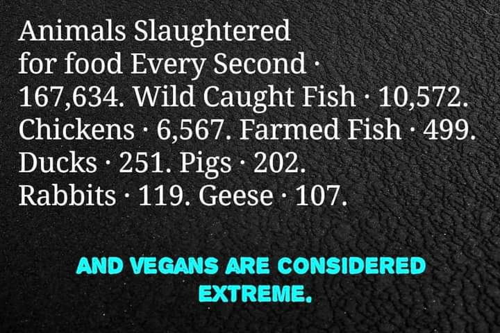 PrancerPaw's tweet image. The system we are fighting against is extreme, not being vegan.#EverySecond 
#AnimalRights #ItsNotFoodItsViolence #BanFactoryFarming #NoMoreFactoryFarms