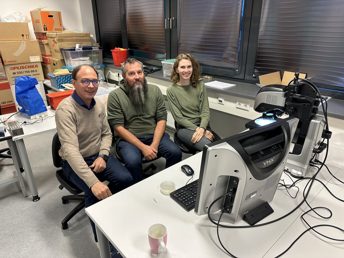 Dominik Begerow tweet media