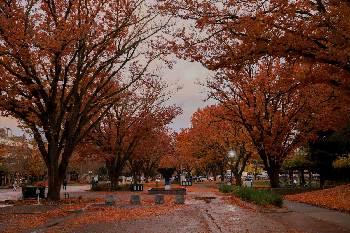sacstateunion's tweet photo. Sac State: A campus that turns into a masterpiece every fall ππ
Please share your favorite picture of our beautiful campus with the hashtag #FALLingforSacState and tag us π https://t.co/Tr1yylg9o9