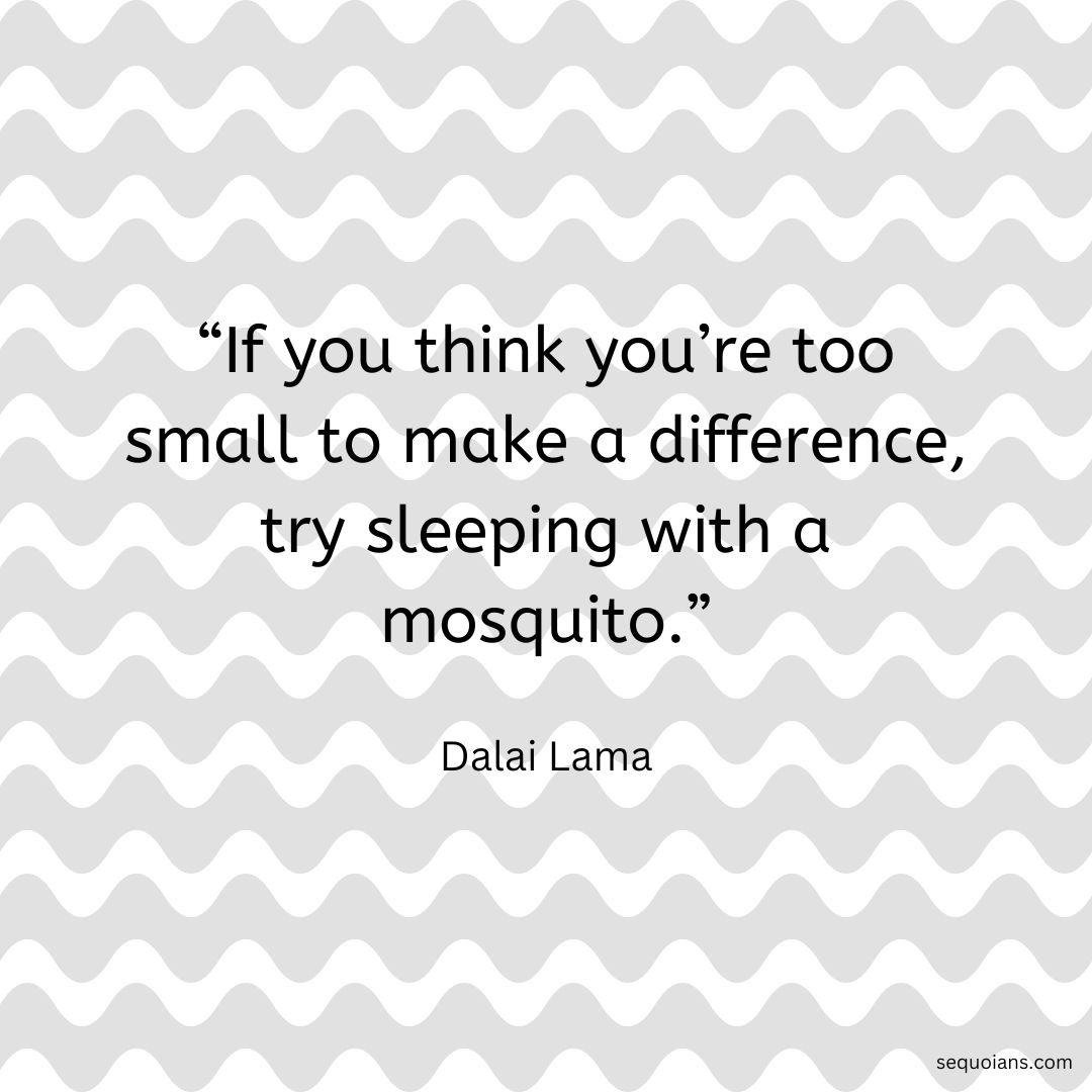 TheSequoians's tweet photo. Small changes can make a big impact! Think you're too small to make a difference? The mosquito knows differently. #ThinkBig #HaveImpact #ChangeTheWorld โญ๏ธ #Naturism https://t.co/eJyL44fwYK https://t.co/b2Zo4tp31f