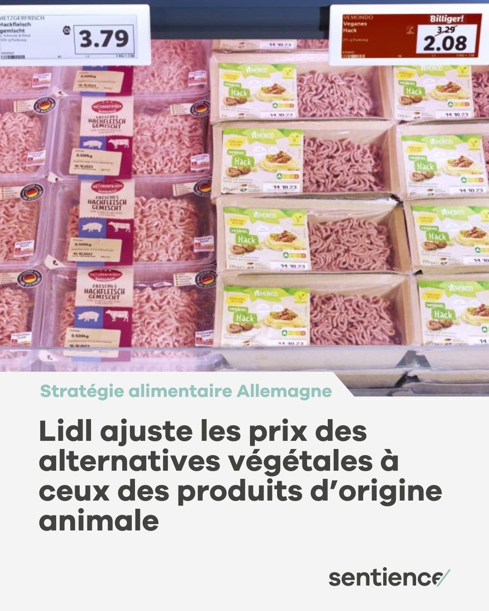 Lidl a baissé les prix de son assortiment végétalien.

Nous demandons aux grands distributeurs suisses d'augmenter leur offre de protéines alternatives et de prendre des mesures pour en promouvoir la vente. Car nous voulons : Plus de bien-être – moins de souffrance. 🌱