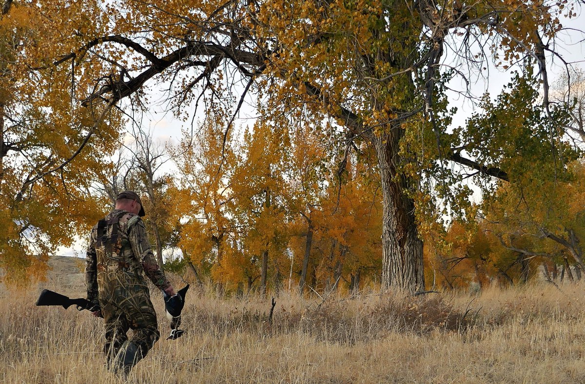 BLMWyoming's tweet photo. #HuntingTip: Please do your best to tread lightly and minimize impacts. We encourage adhering to Leave No Trace principles to help keep areas pristine for other visitors. Jim Gates 📷 https://t.co/XPtGjnJIoy