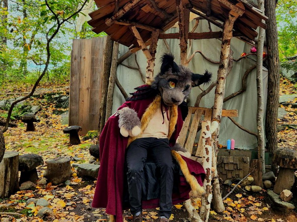 BramCat ~ tweet media