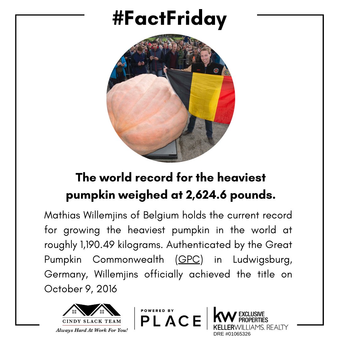 cslack5's tweet photo. We can feed a whole town with this pumpkin.

#FactFriday #Pumpkin #cindyslackteam #alwayshardatworkforyou #justforfun #kw #poweredbyPLACE #FactFriday #cindyslackteam https://t.co/eA2RJq9Xox