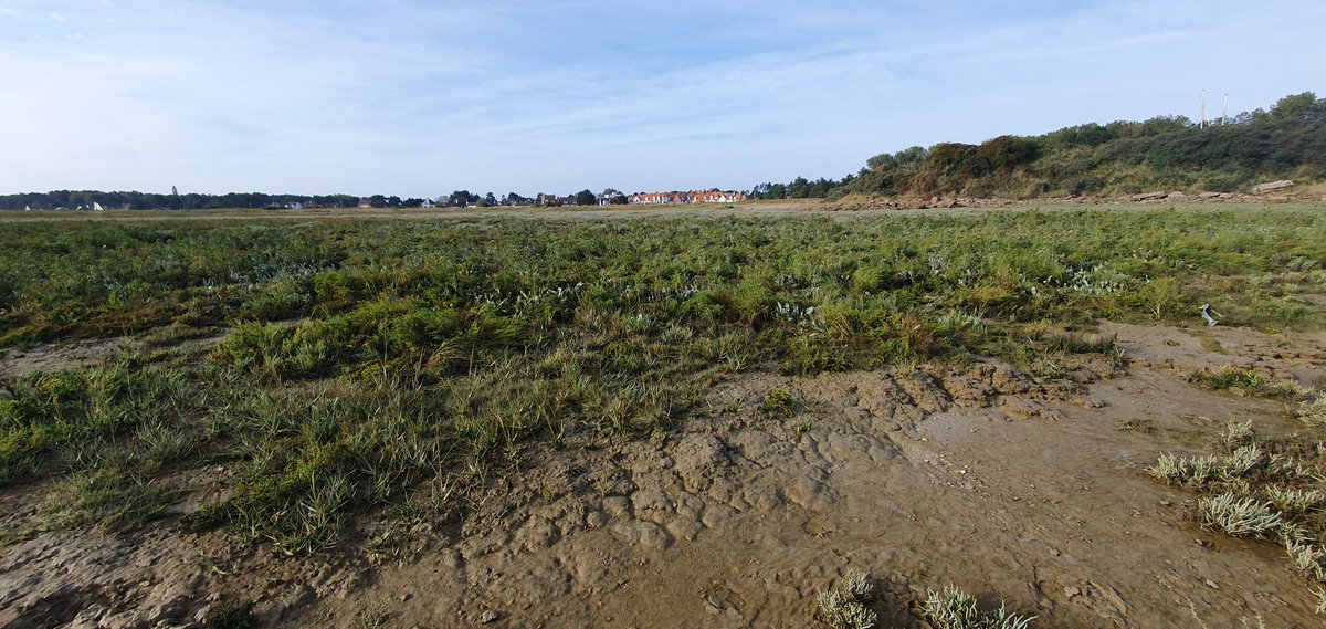 YomanMex (@ldenissmw) on Twitter photo Master 2 internship 6 months available in Wimereux at <a href="/LOG_labo/">Laboratoire d’Océanologie et de Géosciences</a> (Jan-June 2024), within <a href="/PEPR_FairCarboN/">FairCarboN - Programme de recherche exploratoire</a> Cabestan Project, to study C exchanges and explore Blue Carbon in the Canche estuary.
More info: bit.ly/3Qrfu0C
App. Deadline: 15 nov 23
#Bluecarbon Master 2 internship 6 months available in Wimereux at <a href="/LOG_labo/">Laboratoire d’Océanologie et de Géosciences</a> (Jan-June 2024), within <a href="/PEPR_FairCarboN/">FairCarboN - Programme de recherche exploratoire</a> Cabestan Project, to study C exchanges and explore Blue Carbon in the Canche estuary.
More info: bit.ly/3Qrfu0C
App. Deadline: 15 nov 23
#Bluecarbon
