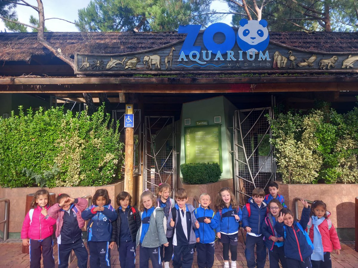 sjpmaristas's tweet image. Los niños de cinco años hemos ido al @zoomadrid. ¡Un día precioso!
#SanJoselito #excursionesmolonas