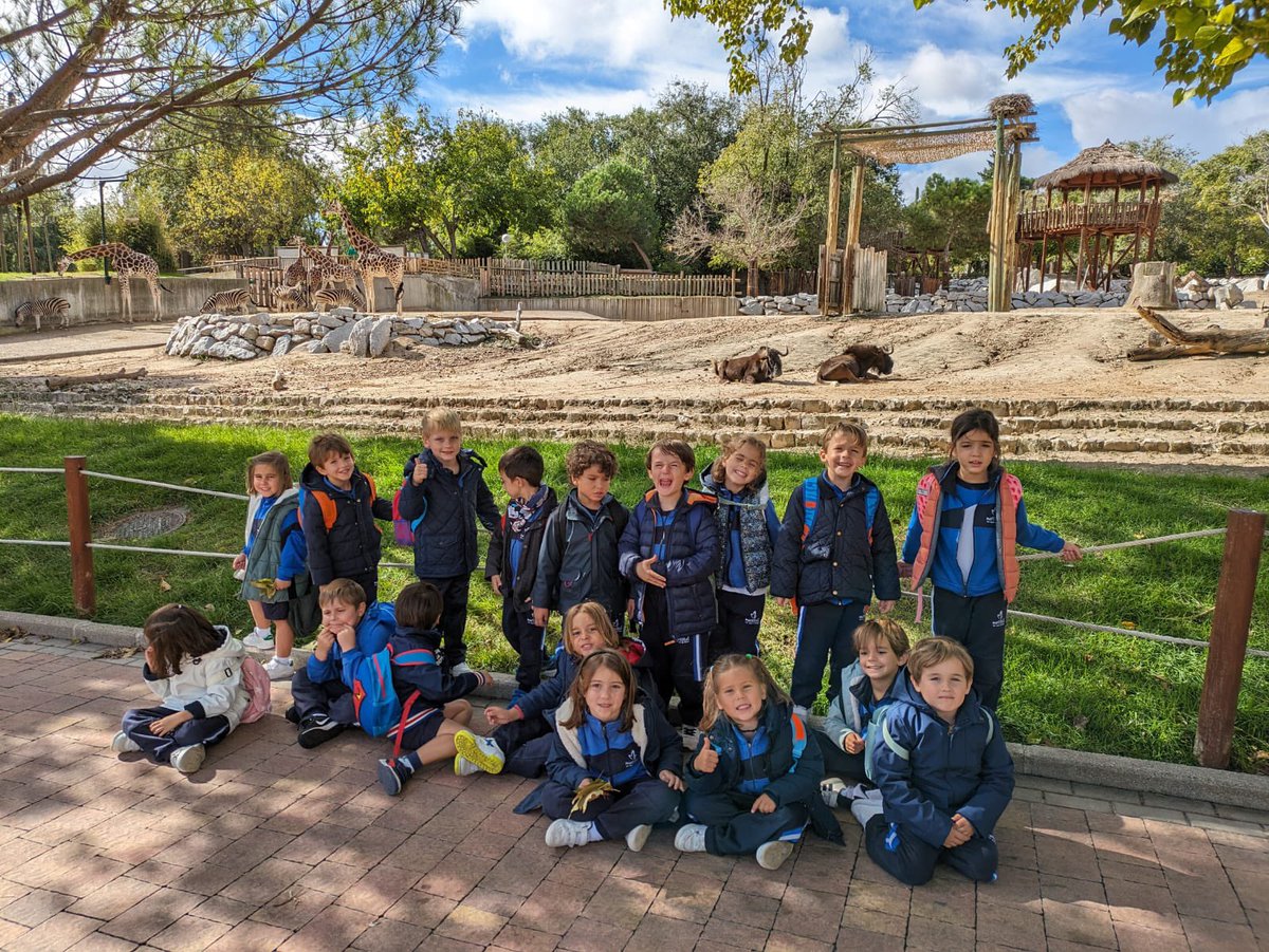 sjpmaristas's tweet image. Los niños de cinco años hemos ido al @zoomadrid. ¡Un día precioso!
#SanJoselito #excursionesmolonas