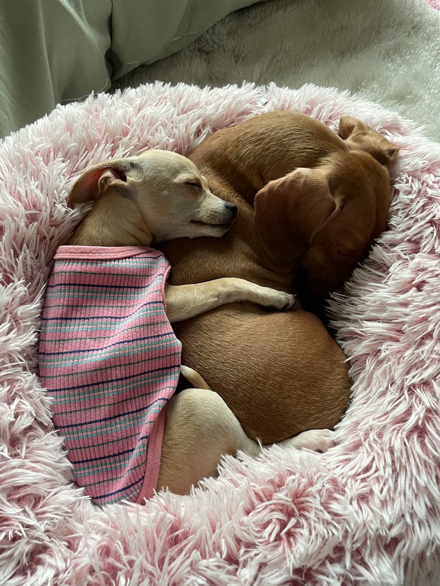 thecedlife's tweet photo. I got a sister! https://t.co/Ifk3Bjm4wh