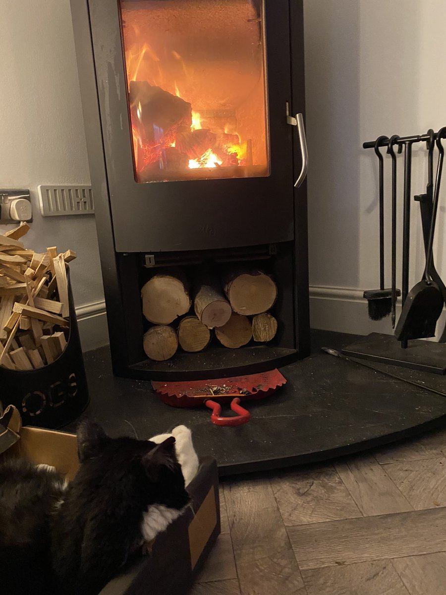 SpanielsSuper's tweet image. #ShiftChange
Mo has gone for her tea &amp;amp; PussPuss has settled into her box for the evening fire side shift 😂