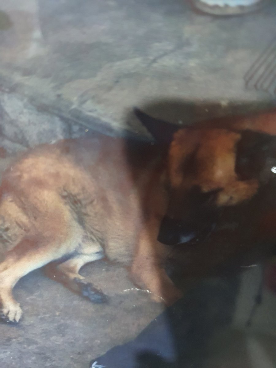 #AmigoQueNoMiente te extrañamos spanky