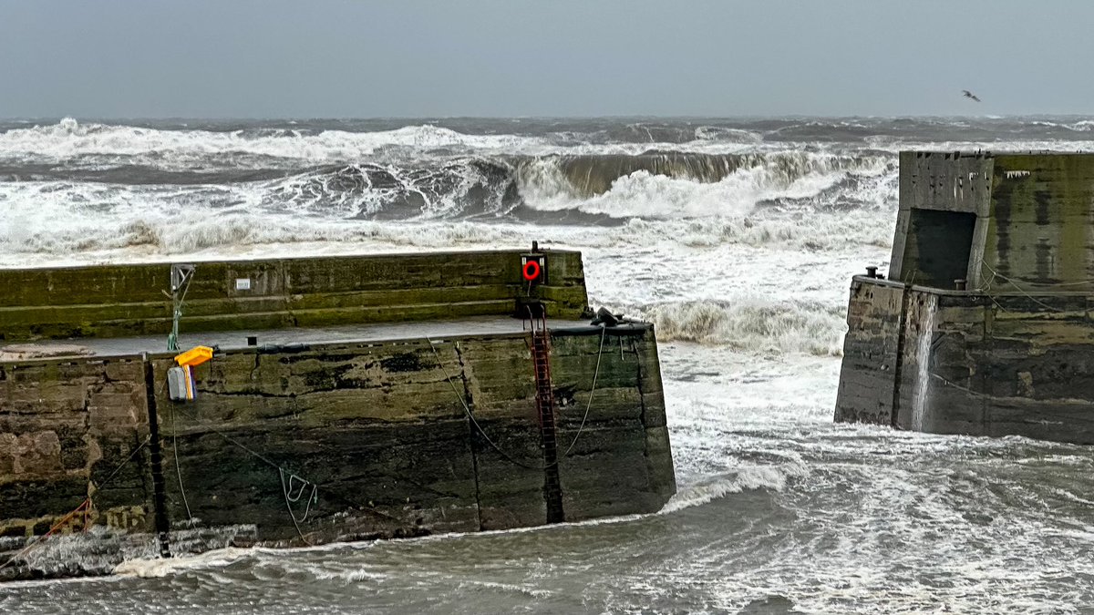 #StormBabet Still pretty windy down at Craster harbour when we walked down from the @CampAndCaravan Dunstan Hill site for an excellent lunch at The Jolly Sailor. 👍😋 @thestormhour @thephotohour