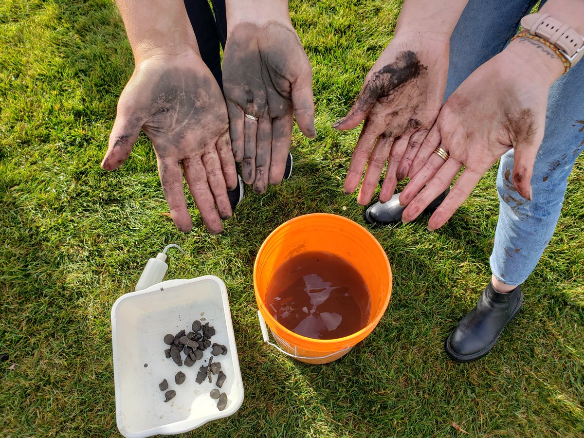 bob_badamson's tweet photo. Soil hand texturing by NFL at STAM 2023. https://t.co/xPrnsyv1xg