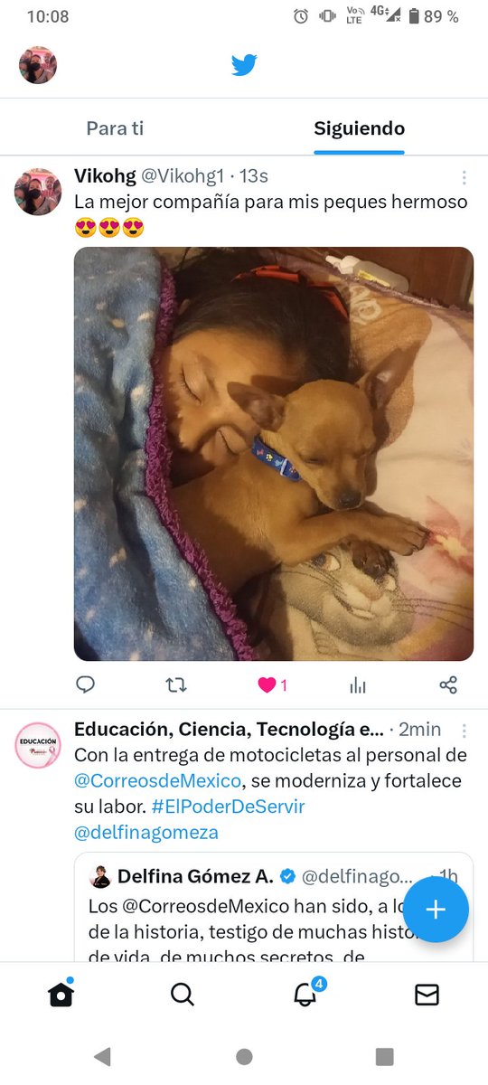 #jiquipilco #El amigo q no miente,, la mejor compañía para mis peques hermoso 😍😍😍
