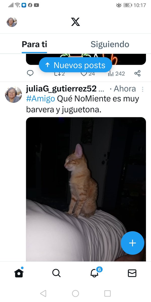 #AmigoQuéNoMiente,, es muy barvera y juguetona.