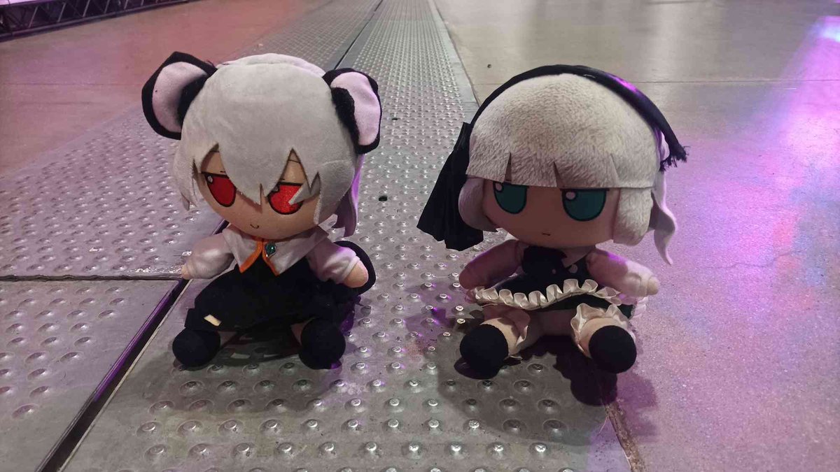 the_youm's tweet photo. The Youm met Nazrin!!!

#fumo #fumfumfum https://t.co/0qckqMDgvX