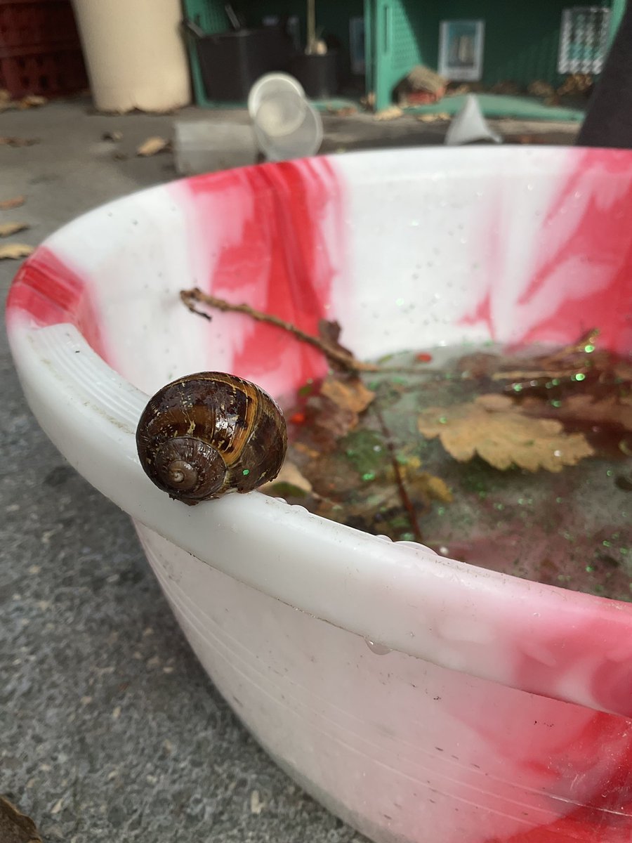 We then went outdoors and made some magical potions 🧪