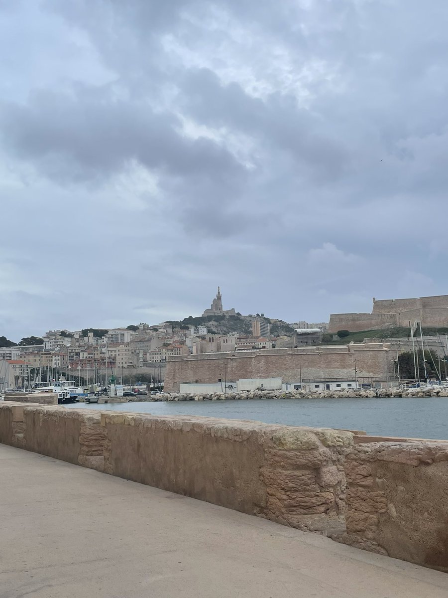 Had a great time during my first conference: amazing lectures, a beautiful ‘Enhancer-in-Art’ exhibition, enriching poster sessions and nice international conviviality moments, thank you to the organisers ! 🧬👩🏻‍🔬 #EMBOenhanceropathies in Marseille