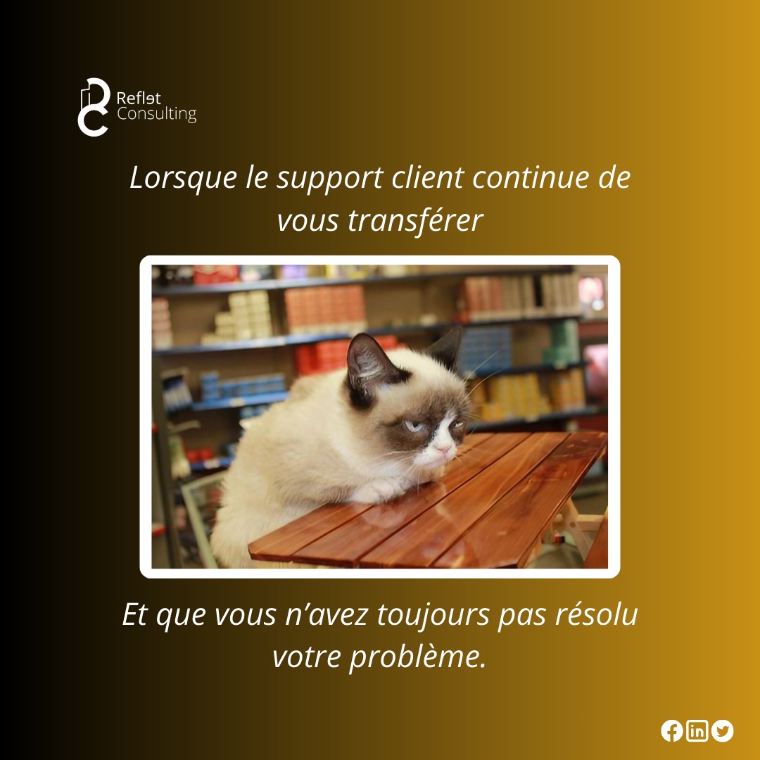 refletconsultin's tweet photo. Lorsque le support client continue de vous transférer et que vous n’avez toujours pas résolu votre problème. 😤

Vous avez déjà vécu ça ? Dites-nous votre pire expérience de support client en commentaire ! 💬

#CX #ExperienceClient #ServiceClient #RefletConsulting https://t.co/MoTVQ42mun