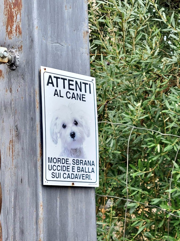 Making our way along the Strada del Chianti Classico 🐓🚴‍♀️🍷🤩 #RaddainChianti #CastellinainChianti @Monteraponi #CaparsaGuardDog 🐶😂 @chianticlassico @ChiantiNews @dpen_cc @PaoloCianferoni @JohnMFodera @Ahachey101