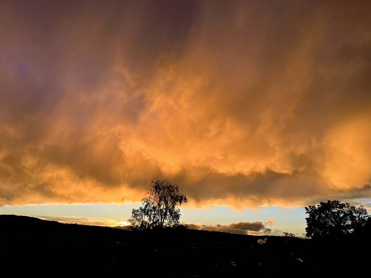badecap's tweet photo. Drama. 😍 https://t.co/oMEwTPVZdV