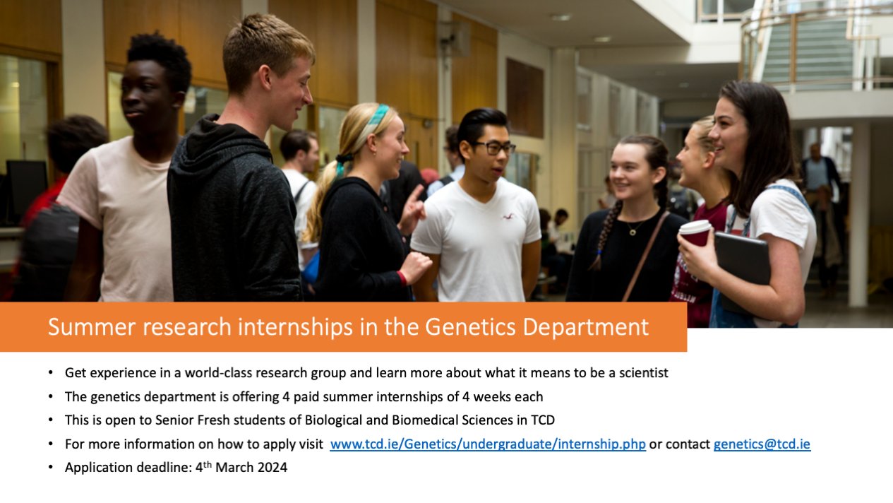 Technology news and reviews image