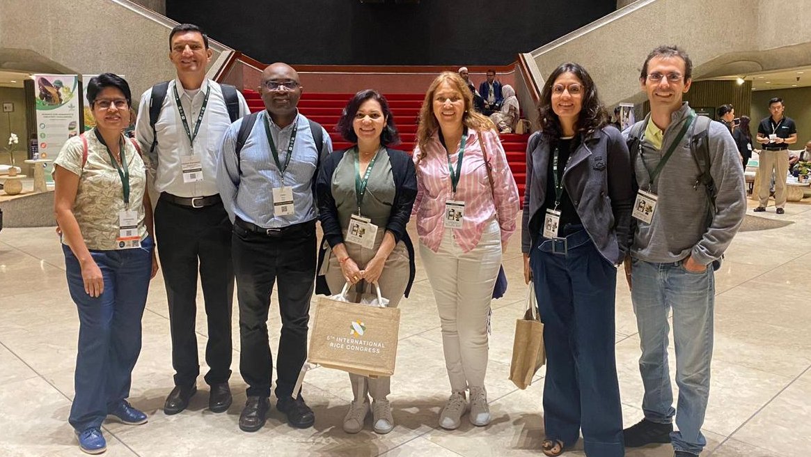 Our #Rice Program leader, María Fernanda Álvarez, and @arrozFLAR presented advances in direct-seeded rice for the Americas during the 6th International Rice Congress #IRC2023 in the Philippines. Learn more about our work on direct-seeded rice: 🌾youtu.be/mnmad4MvmN0