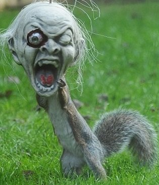 CestTerrifiant's tweet photo. En 2012, un écureuil s'est coincé la tête dans un masque d'Halloween et a couru terrifiant tout un quartier en Angleterre. https://t.co/2iK9uWisLK