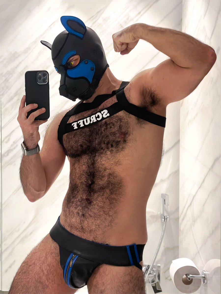 ALPHA FERRO tweet media