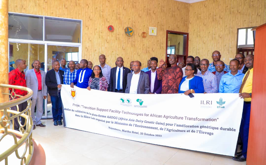 BMineagrie's tweet photo. Atelier de validation de la stratégie nationale et du plan d'action  sur les ressources  génétiques et adoption de la plate-forme #AADGG(Africa-Asia Dairy Genetic Gains) au Burundi  organisé ce 20/10/2023 par le @BMineagrie en collaboration avec l' @ILRI . https://t.co/ngZ2H9gFMW