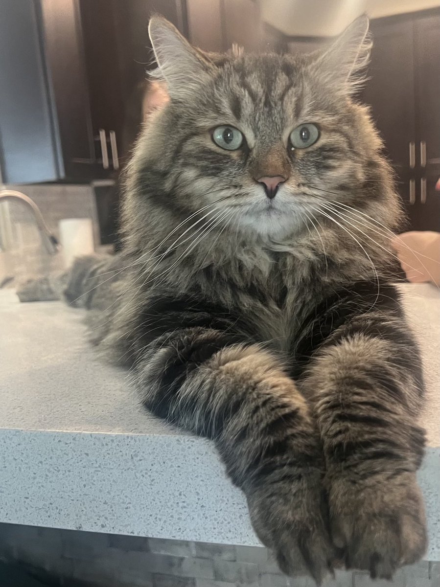 STEPHEN E PEARCY tweet media