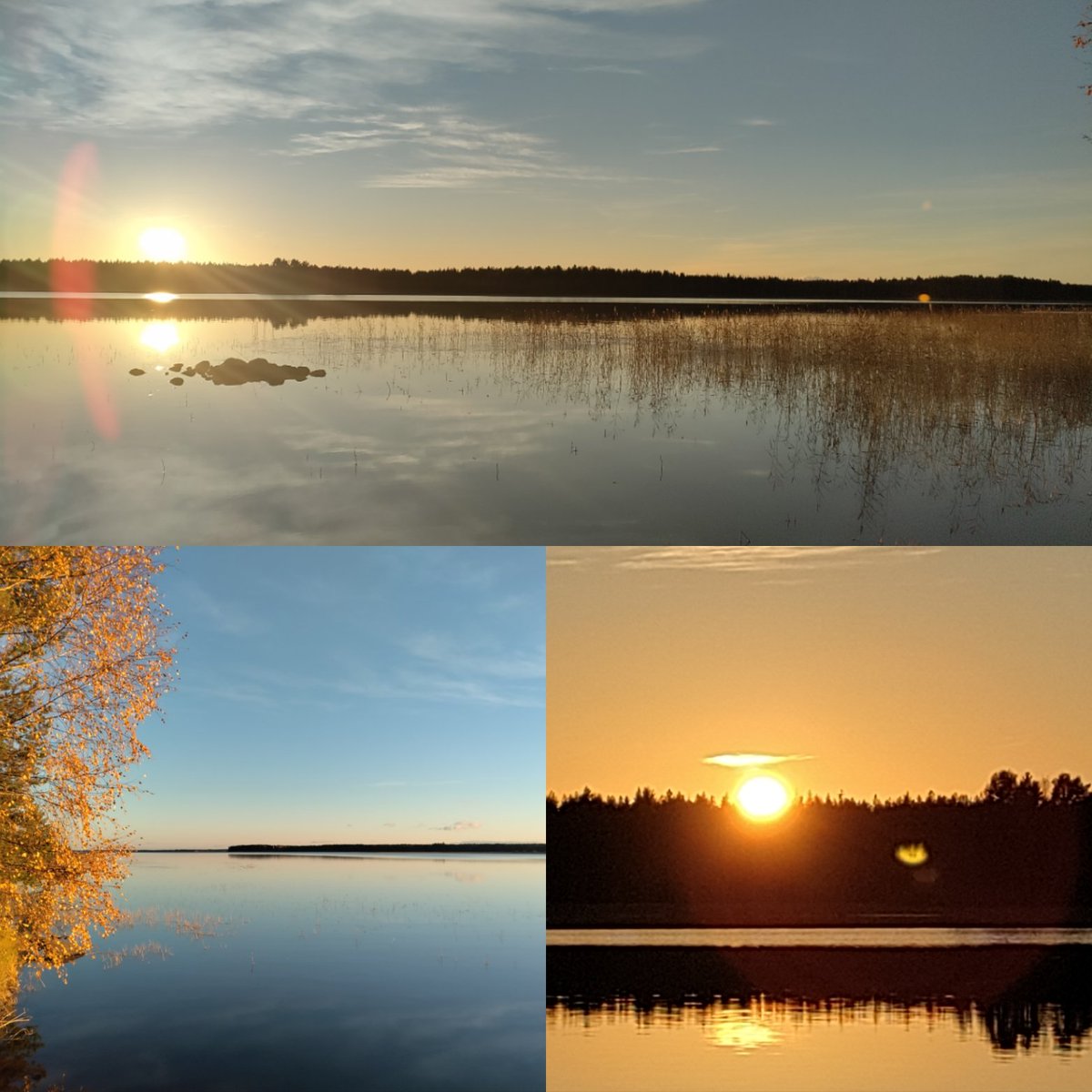 "I don't want to say goodbye for the summer..."

Mutta kuuluu asiaan hyvästellä kesä, siirtyä syksyn kautta talveen.
Siltikin silmäkulma kostuu hyvästellessä ja haikeus hiipii mieleen.

#mökkielämä #pulahdus #talviuinti #kiitoskesästä