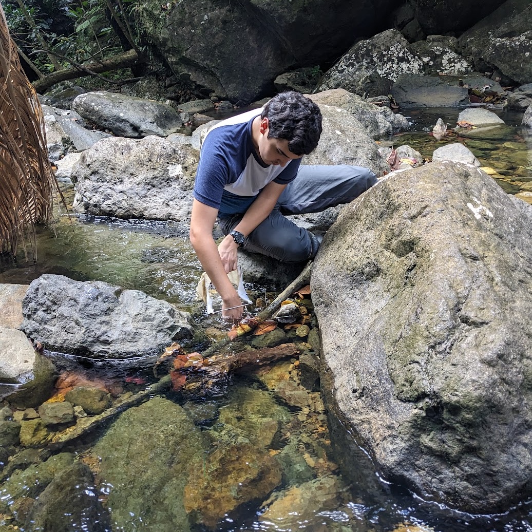 Luquillo LTER tweet media