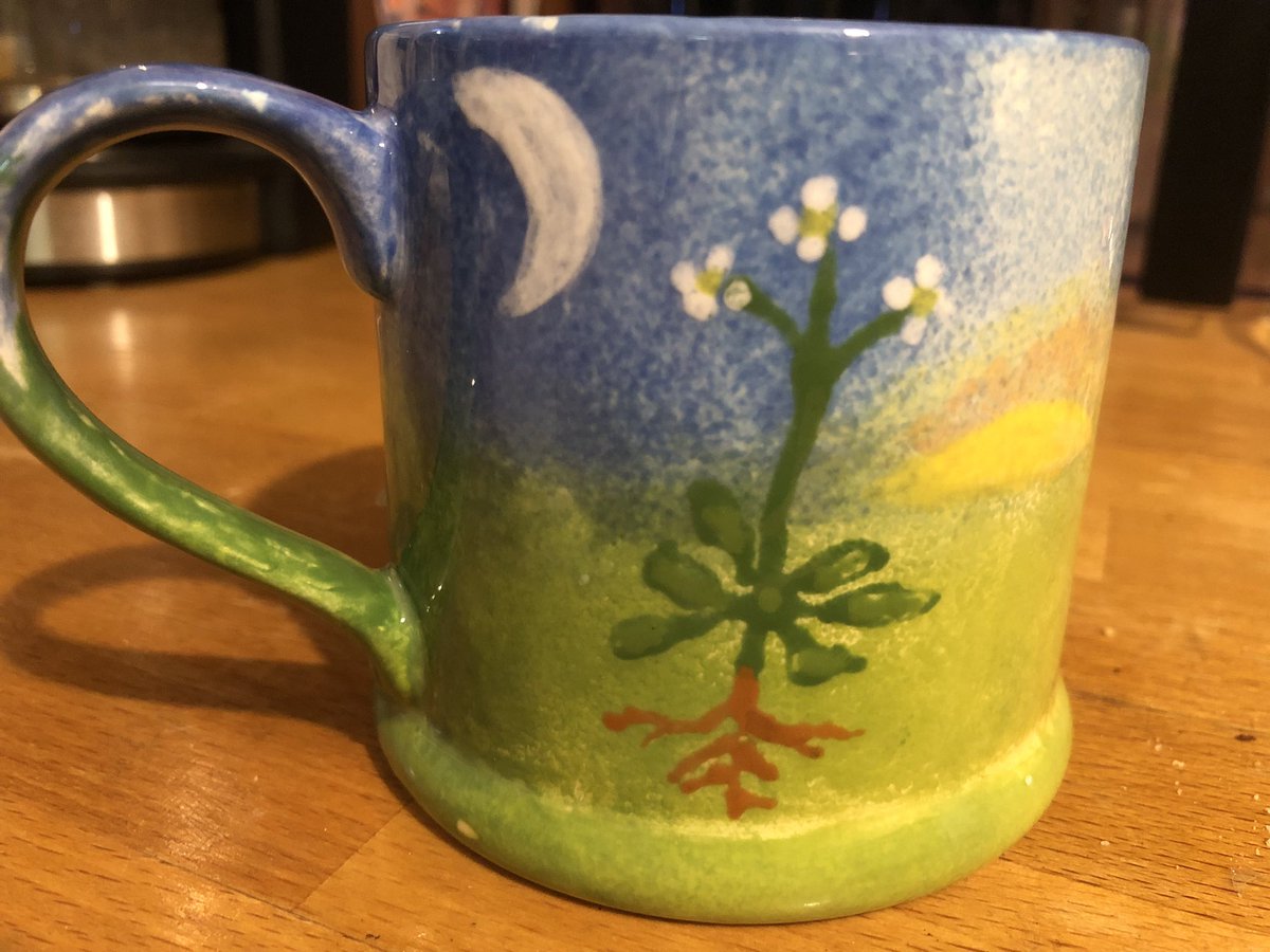 Antony Dodd tweet media