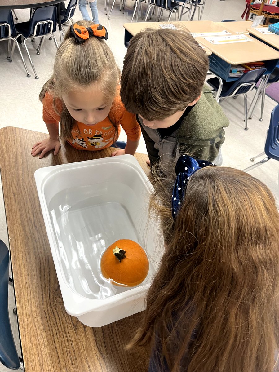 🌟Clarkin's Fantastic Firsties🌟 tweet media