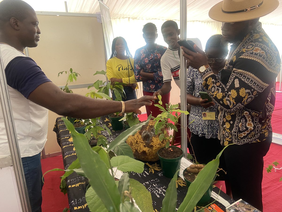 IITAForest's tweet photo. ๐๐๐
Day 2
@IITAForestCenter treated guests to a table forest walk, inviting people to grow, appreciate, and support propagation of native trees, shrubs, and vegetables.
#iitacgiar #cgiarpartners #innovations #greenerenvironment #biogas #hostras #exhibitors #yaslaunch #abj https://t.co/HWhZ0IohMM