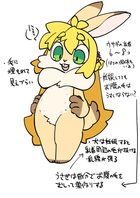 ウサギ乳首メモコッショリ
素人のネット調べ知識 