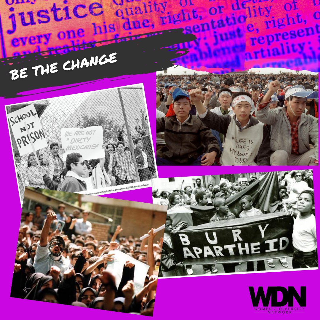 Women's Diversity Network tweet media