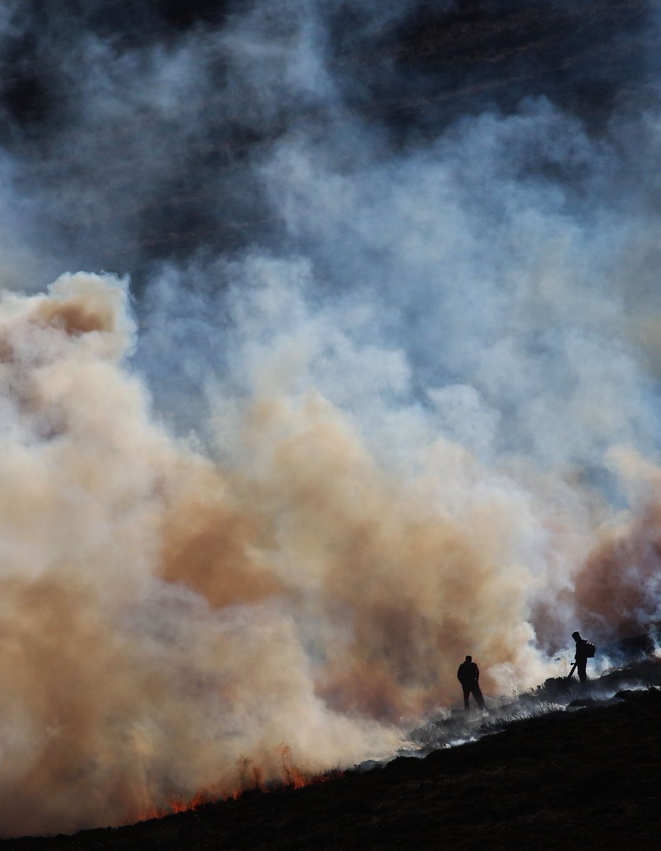 Moorland Association Director Ben Ramsden convicted for burning on deep peat on Middlesmoor Estate grouse moor in Nidderdale.

Case details ⬇️⬇️
raptorpersecutionuk.org/2023/10/20/moo…